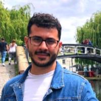 Mario F. - PhD in Chemistry - School of Physical Sciences - Subject Matter Expert from Kolabtree