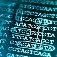 ziaurrehman tanoli natural language processing consultant for hire