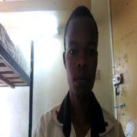 hire freelance business general expert nich msau