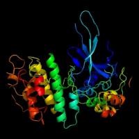 Garima S. - Integrated M.Sc. Microbiology - Subject Matter Expert from Kolabtree