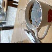 Elin K. -  - Subject Matter Expert from Kolabtree