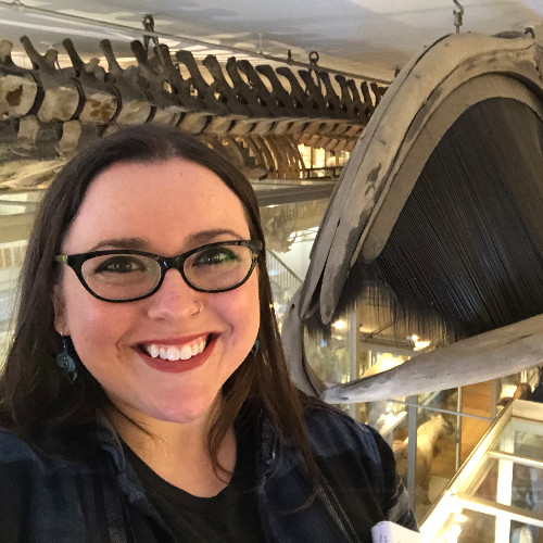 Sarah M. - Ph.D. in Molecular and Cell biology - Subject Matter Expert from Kolabtree