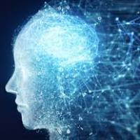 Carlotta F. - Ph. D in Mechanical Engineering - Subject Matter Expert from Kolabtree