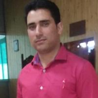 Ishtaq A. - PhD Mathematics - Subject Matter Expert from Kolabtree