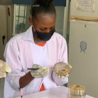 Caroline A. - Bachelor (Hons) of Science In Microbiology - Subject Matter Expert from Kolabtree