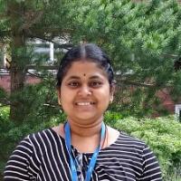 Shuvra S. - PhD - School of Chemistry - Subject Matter Expert from Kolabtree