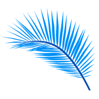 Fahad S. - MBBS - Subject Matter Expert from Kolabtree