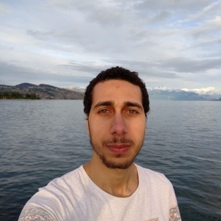 Ahmed S. - Doctoral Program - Subject Matter Expert from Kolabtree