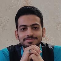 Mohammad S. - Master degree in Mechanical engineer - Subject Matter Expert from Kolabtree