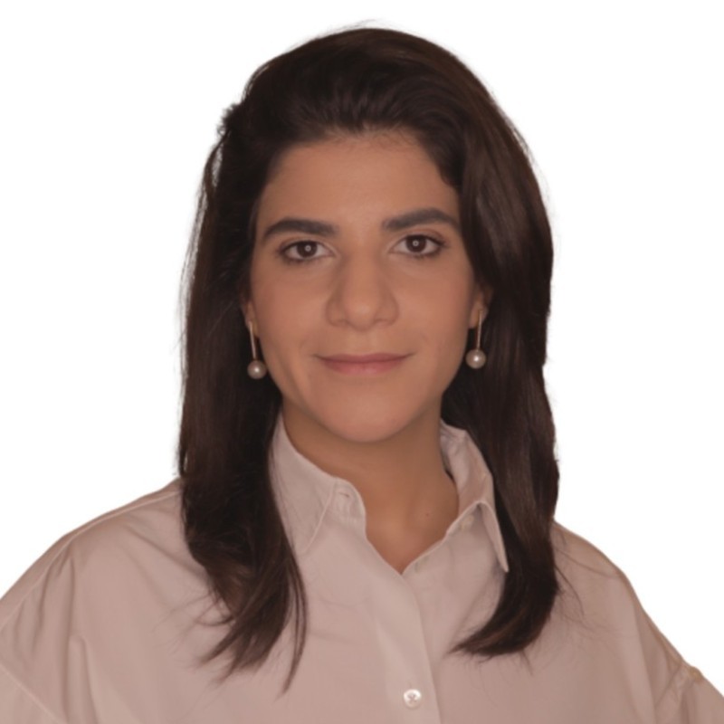 Lara E. - Environmental Law and Practice - Subject Matter Expert from Kolabtree