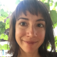 emily nicolosi freelance grant writing expert for hire