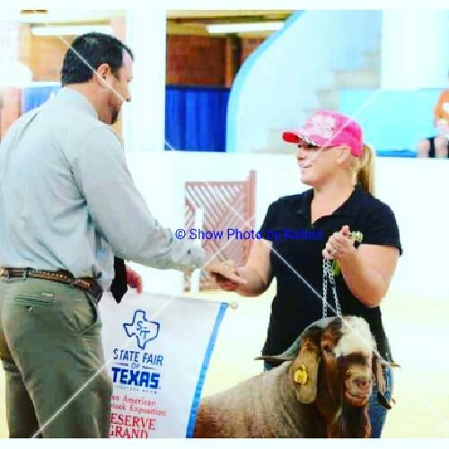 Charity A. - Kicked out done done - Subject Matter Expert from Kolabtree