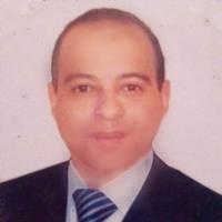 mohamed rabie environmental chemistry freelancer for hire