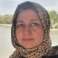 Mahsa S. - PhD - MEDC - Subject Matter Expert from Kolabtree