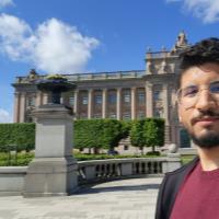 Mohammad A. - BSc - Physics - Subject Matter Expert from Kolabtree