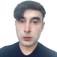 Arslan M. - PhD in Chemical and Environmental Engineering - Subject Matter Expert from Kolabtree