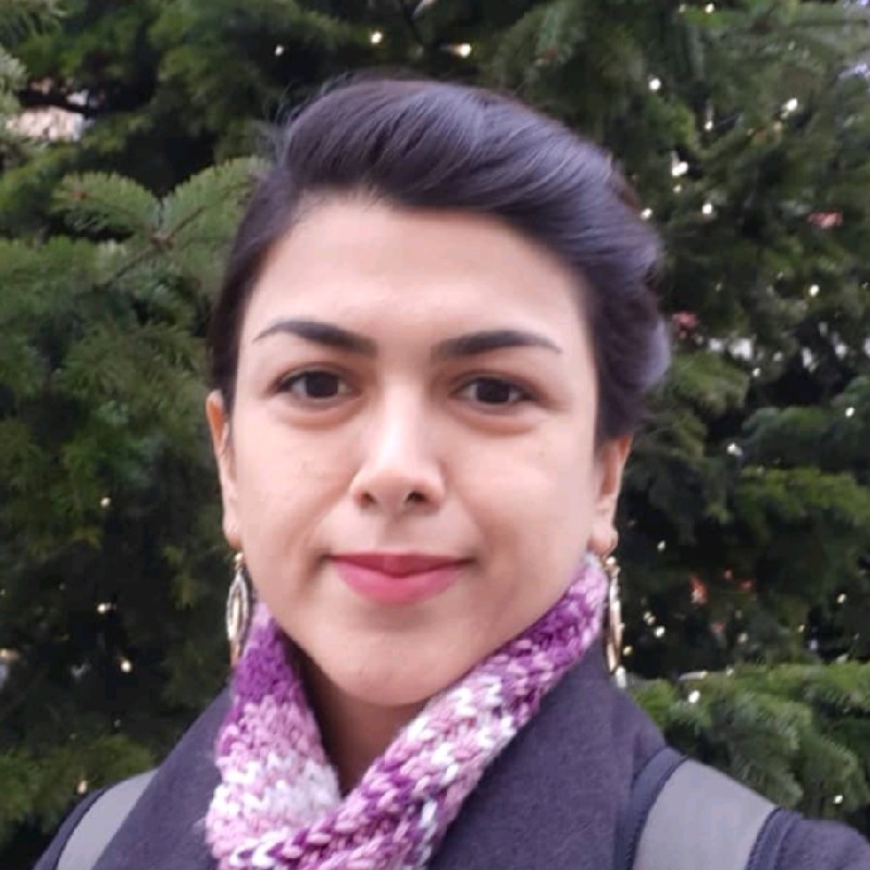 Maryam K. - Ph.D., Chemistry - Subject Matter Expert from Kolabtree