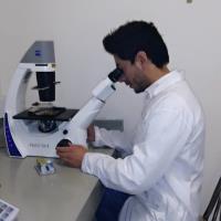 {0} - Subject Matter Expert from Kolabtree