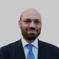 andr pontes da costa peer review freelance expert