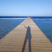 X X. - x - Subject Matter Expert from Kolabtree