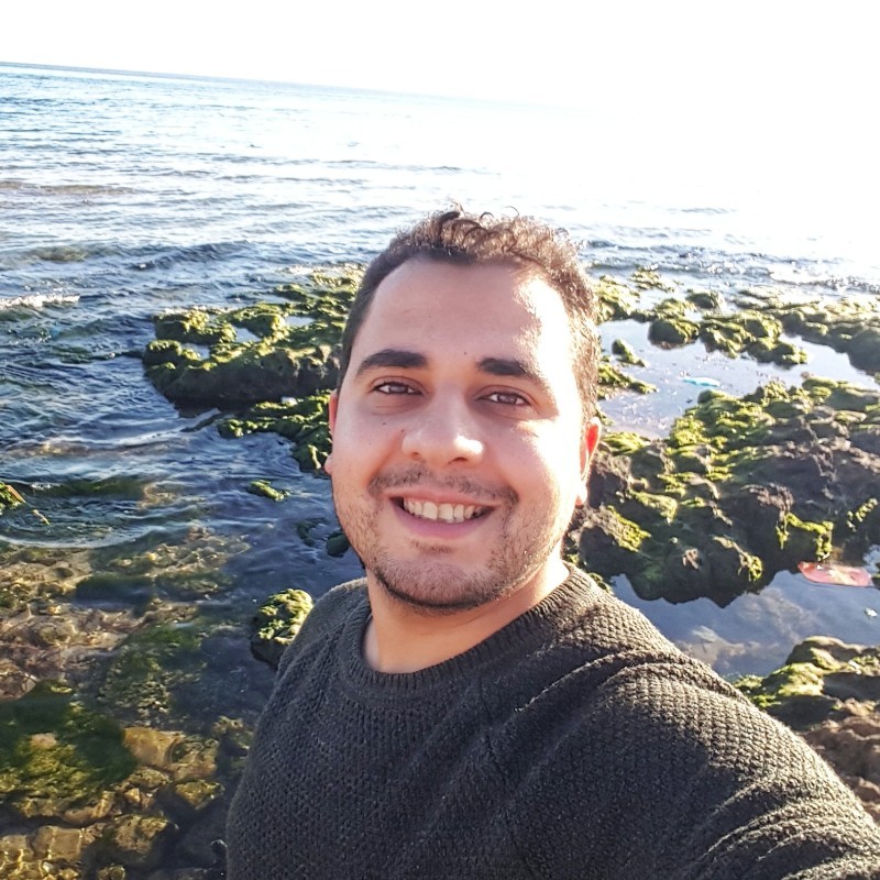 hadj ahmed belaouni medical microbiology freelancer for hire