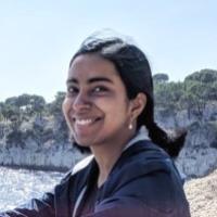 divya singh literature search consultant for hire