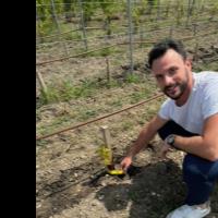 David T. - PhD - Subject Matter Expert from Kolabtree