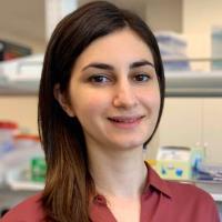 Bilge E. - PhD - Subject Matter Expert from Kolabtree