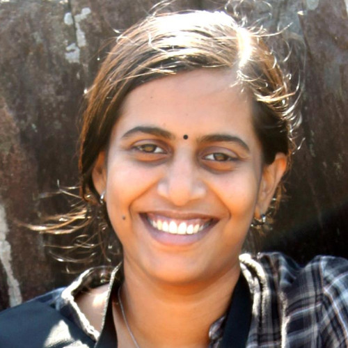 hire freelance renewable energy expert dr krishna priya