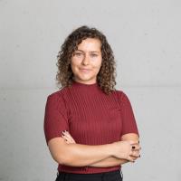 n dia de sousa genetics freelance expert