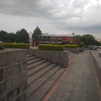 Zahra A. - Msc. Cancer and therapeutics - Subject Matter Expert from Kolabtree