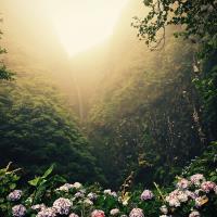 NAIREEN Z. - M.Sc. (by Research) Biomedical Sciences - Subject Matter Expert from Kolabtree