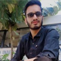 Husnain  K. - Computer Science - Subject Matter Expert from Kolabtree