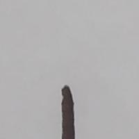 rama kannan teaching instruction freelancer for hire