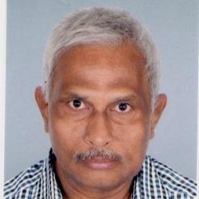 srs rao freelance english literature expert for hire