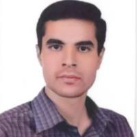 Davoud M. - PhD Mathematics - Subject Matter Expert from Kolabtree