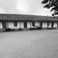 Merin M. - PhD - Subject Matter Expert from Kolabtree