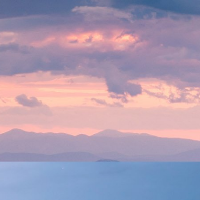 Erin M. - Masters in Microbiology and Biotechnology - Subject Matter Expert from Kolabtree