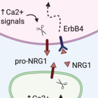 Marta C. - Master degree - Subject Matter Expert from Kolabtree