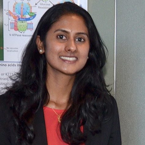 anna john teaching instruction freelance expert