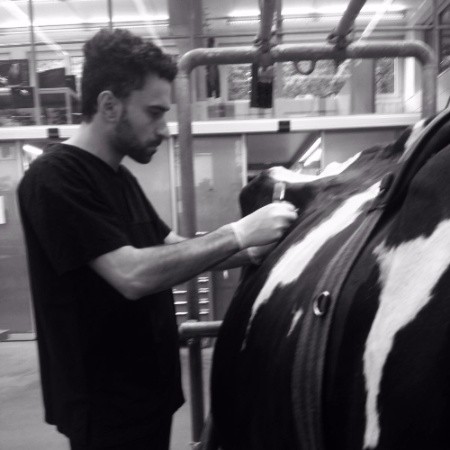 Luca T. - PhD Veterinary Sciences - Subject Matter Expert from Kolabtree