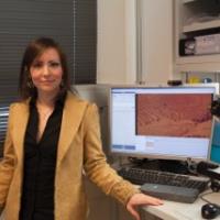 Aurora C. - Doctorate - Subject Matter Expert from Kolabtree