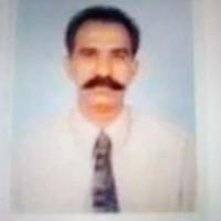 Rehan N. - phd - Pharmacy - Subject Matter Expert from Kolabtree