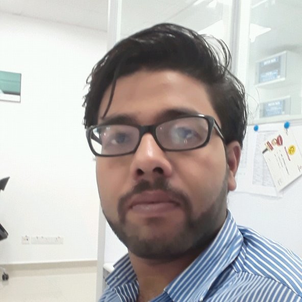 ritendu ganguly ceramic manufacturing freelance expert