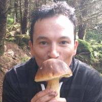 Valerio R. - PhD in Immunology - Subject Matter Expert from Kolabtree