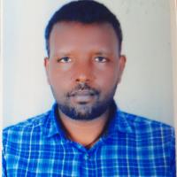 Biks Alebachew T. - Ph.D - Electrical Engineering - Subject Matter Expert from Kolabtree