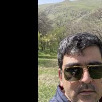 Siamak S. - Ph.D. - immunology - Subject Matter Expert from Kolabtree