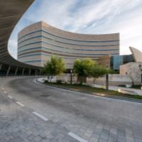 mahesh kalikiri freelance cognitive neuroscience expert for hire