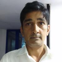 VVSP P. - PhD Microbiology - Subject Matter Expert from Kolabtree