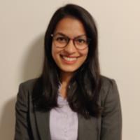 neeru mittal power energy consultant for hire